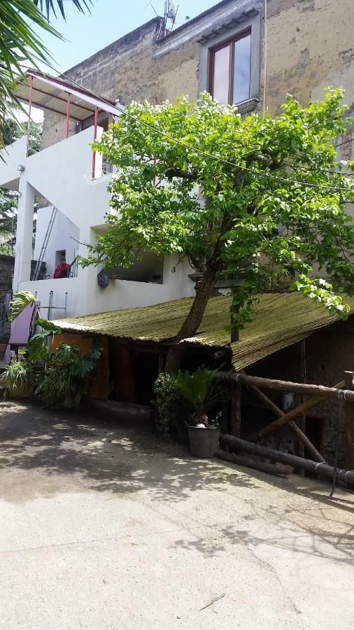 Casa Carolina B&B Σορέντο Εξωτερικό φωτογραφία