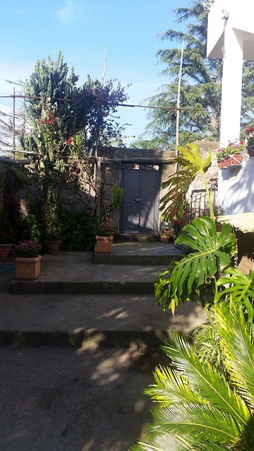 Casa Carolina B&B Σορέντο Εξωτερικό φωτογραφία