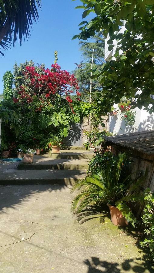 Casa Carolina B&B Σορέντο Εξωτερικό φωτογραφία