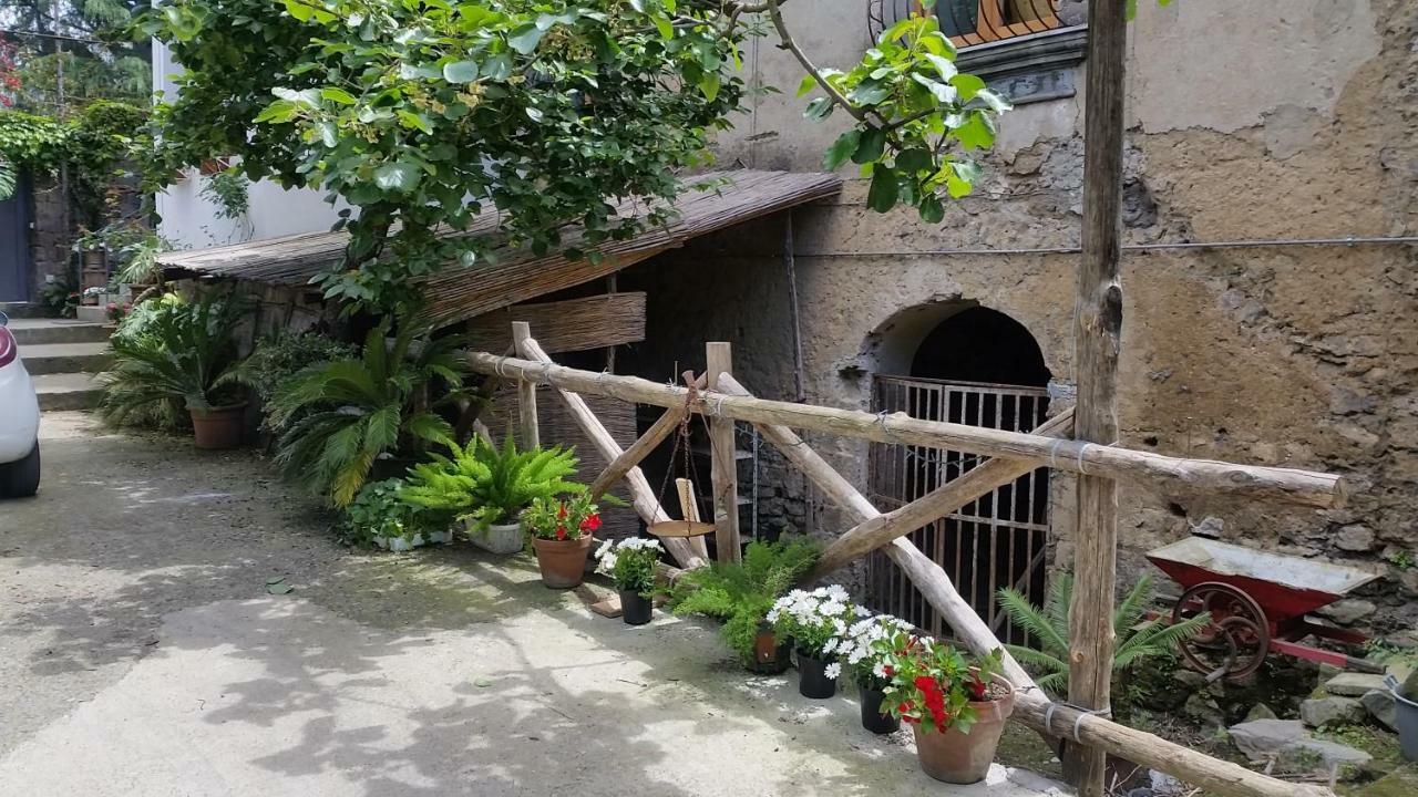 Casa Carolina B&B Σορέντο Εξωτερικό φωτογραφία