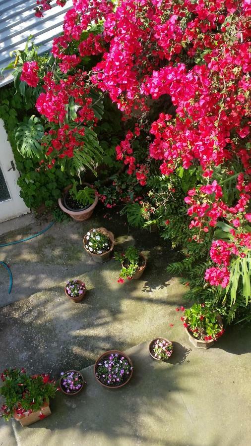 Casa Carolina B&B Σορέντο Εξωτερικό φωτογραφία