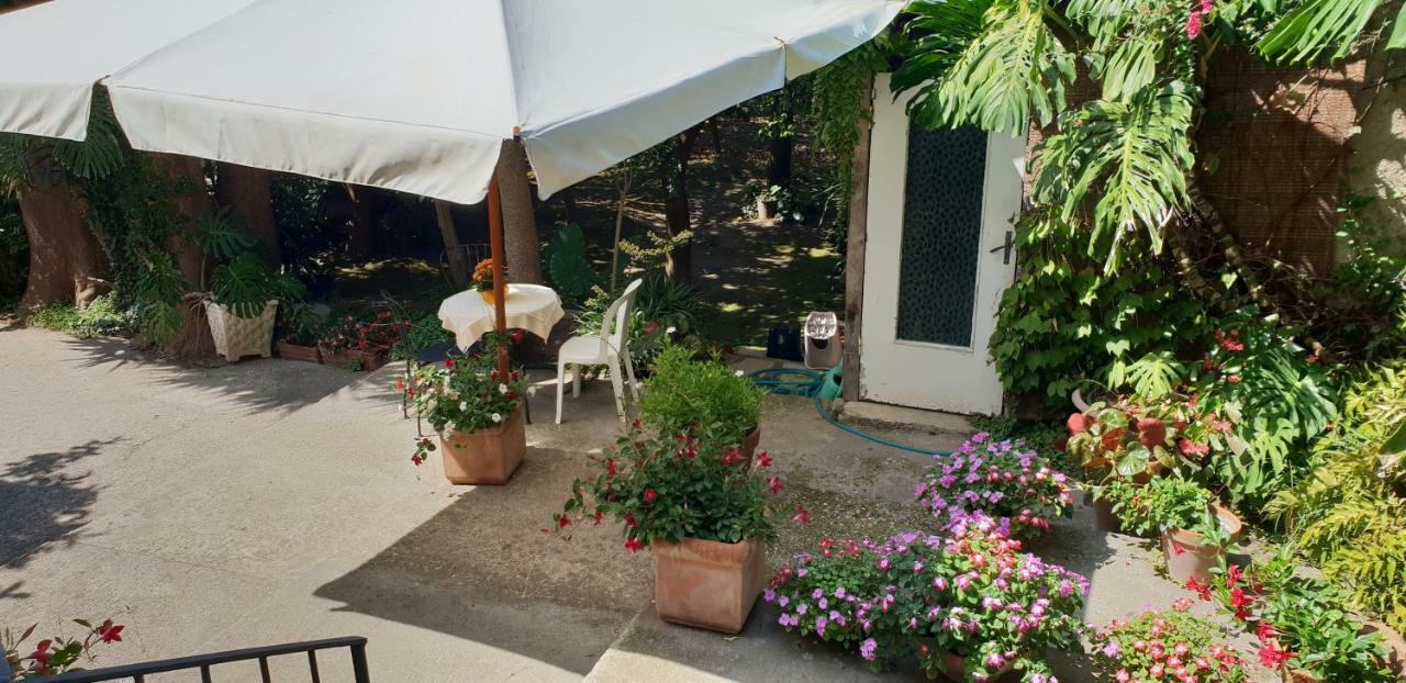 Casa Carolina B&B Σορέντο Εξωτερικό φωτογραφία